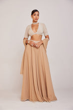 Load image into Gallery viewer, Beige Lehenga Pants Set