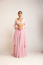 Load image into Gallery viewer, Powder Pink Sharara Set