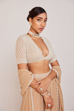 Load image into Gallery viewer, Beige Lehenga Pants Set