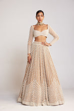 Load image into Gallery viewer, Beige Chandelier Pearl Lehenga Set