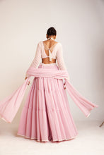 Load image into Gallery viewer, Powder Pink Sharara Set