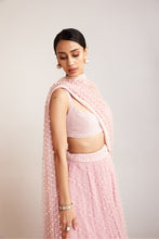 Load image into Gallery viewer, Blouse Lehenga Dupatta
