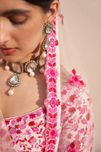 Load image into Gallery viewer, Blush Pink Double Dupatta Lehenga Set