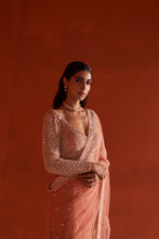 Load image into Gallery viewer, Pastel Orange Net Saree