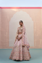 Load image into Gallery viewer, Blush Pink Double Dupatta Lehenga Set