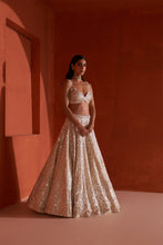 Load image into Gallery viewer, Ivory Raw Silk Lehenga Set