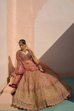 Load image into Gallery viewer, Mustard Organza Double Duppatta Lehenga Set