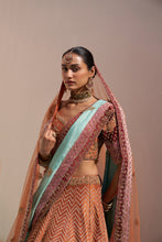 Load image into Gallery viewer, Rust Double Dupatta Lehenga Set