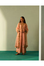 Load image into Gallery viewer, Peach Tissue Choga Set
