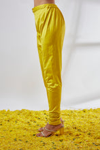 Load image into Gallery viewer, Ketki AG set with churidar