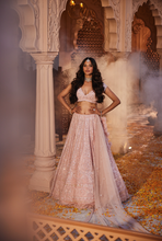 Load image into Gallery viewer, Pink embroidered lehenga