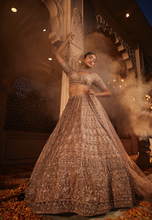 Load image into Gallery viewer, Dust peach organza lehenga
