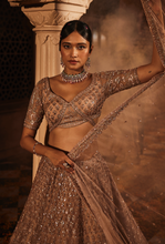 Load image into Gallery viewer, Dust peach organza lehenga