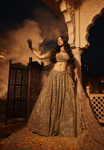 Load image into Gallery viewer, Gold organza embroidered lehenga