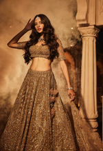 Load image into Gallery viewer, Gold organza embroidered lehenga