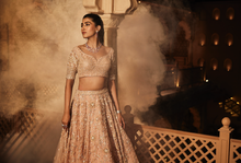 Load image into Gallery viewer, Peach heavily embroidered lehenga