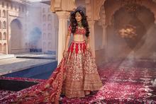 Load image into Gallery viewer, Red heavily embroidered lehenga