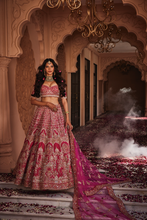 Load image into Gallery viewer, Rani heavily embroidered lehenga