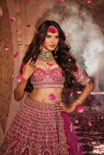 Load image into Gallery viewer, Rani heavily embroidered lehenga