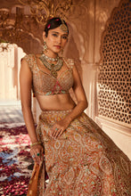 Load image into Gallery viewer, Rust embellished lehenga