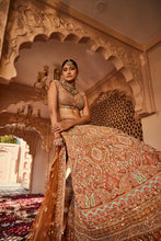 Load image into Gallery viewer, Rust embellished lehenga