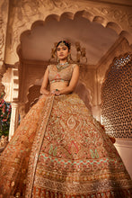 Load image into Gallery viewer, Rust embellished lehenga