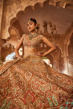 Load image into Gallery viewer, Rust embellished lehenga