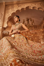Load image into Gallery viewer, Rust embellished lehenga