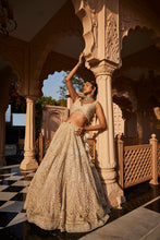 Load image into Gallery viewer, Ivory heavily embroidered lehenga