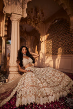 Load image into Gallery viewer, Peach heavily embroidered lehenga