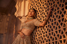 Load image into Gallery viewer, Gold organza lehenga
