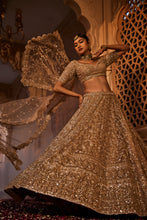 Load image into Gallery viewer, Gold organza lehenga