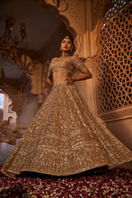 Load image into Gallery viewer, Gold organza lehenga