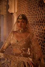 Load image into Gallery viewer, Gold organza lehenga