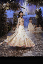 Load image into Gallery viewer, NUR LEHENGA SET