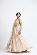 Load image into Gallery viewer, BLUSH PINK LEHENGA CHOLI SET