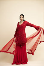 Load image into Gallery viewer, RED GEORGETTE GARARA SET