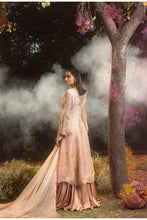 Load image into Gallery viewer, TEA ROSE JACKET WITH SKIRT AND DUPATTA