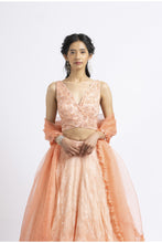 Load image into Gallery viewer, LEHENGA CHOLI SET