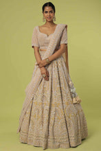 Load image into Gallery viewer, Mouse velvet intricate hand embroidered lehenga