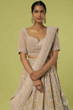 Load image into Gallery viewer, Mouse velvet intricate hand embroidered lehenga