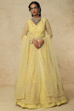 Load image into Gallery viewer, Lemon net self on self embroidered lehenga