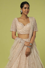 Load image into Gallery viewer, Peach net cut dana, pearl and sequins embroidered lehenga