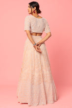 Load image into Gallery viewer, Pink organza pearl and cut dana embroidered lehenga