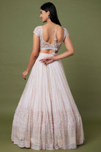 Load image into Gallery viewer, Pink net cutrdana and pearl embroidered lehenga