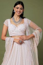Load image into Gallery viewer, Pink net cutrdana and pearl embroidered lehenga