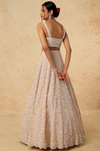 Load image into Gallery viewer, Pink organza self on self embroidered lehenga