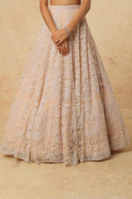 Load image into Gallery viewer, Pink organza self on self embroidered lehenga