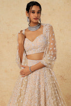Load image into Gallery viewer, Pink organza self on self embroidered lehenga