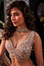 Load image into Gallery viewer, ICEBLUE EMBROIDERED ORGANZA SET (Copy)